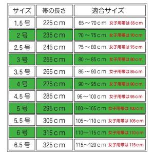 黒帯 JOVB 九櫻 試合用 黒帯 フェルト芯...の詳細画像1