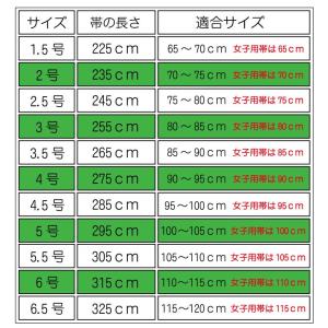 柔道着 白帯 九櫻 全柔連規格 フェルト芯入り...の詳細画像1