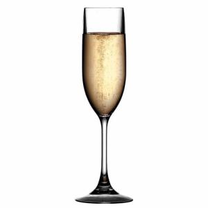 トライタン シャンパーニュ 割れない エコ素材 ワイングラス トライタン Traitan 合成樹脂 ...