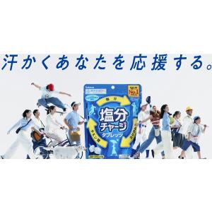 500円 送料無料 カバヤ 塩分チャージ タブ...の詳細画像5