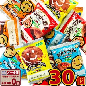 不二家（FUJIYA） カントリーマアム ココア 30個 ゆうパケット便