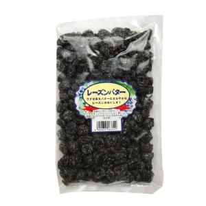 森田製菓 レーズンバター 1袋 ゆうパケット便 メール便  駄菓子 お菓子 ポイント消化 1000円ポッキリ 森田 お土産 島根 お土産 おみやげ