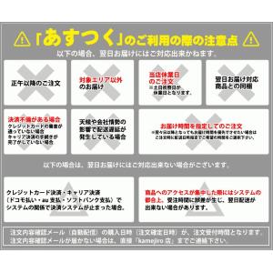 でっかくなってパワーアップ!溶けにくい! 金メ...の詳細画像5