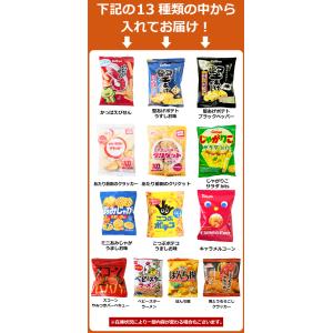 大人の小袋お菓子 お試し 10種類 合計10袋...の詳細画像3