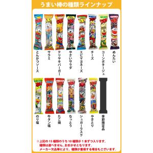 500円 送料無料 うまい棒10種類 合計10...の詳細画像2