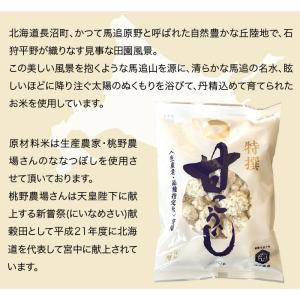 池下本店 特撰甘こうじ 200g 5個セットの詳細画像2