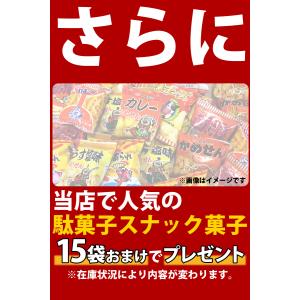 地域限定 じゃがりこ ・ カール など 人気駄...の詳細画像5