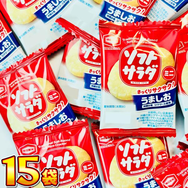 500円 送料無料 亀田製菓 ソフトサラダ ミニ 15袋　 メール便 送料無料　ポイント消化 訳あり...