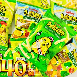 カルビー（Calbee） 堅あげ【BIG】うすしお味 132g入×12袋 1ケース
