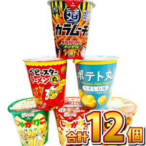 じゃがりこ限定品も入った！「じゃがりこ」・「完全メシ」など 6種類 合計12個 詰め合わせセット　送料無料 大量 スナック菓子 詰め合わせ 駄菓子屋さん｜kamenosuke