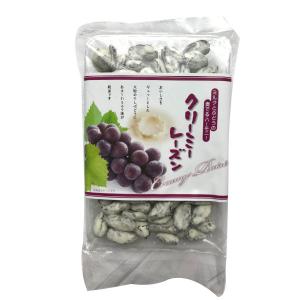 森田製菓 クリーミーレーズン 1袋ネコポス メール便  駄菓子 お菓子 ポイント消化 1000円ポッキリ 森田 お土産 島根 お土産 おみやげ