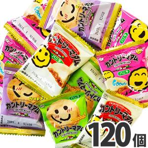 カントリーマアム　バニラ　120個　送料無料 不二家 大量 お菓子 詰め合わせ お試し 訳あり ビスケット チョコレート カントリーマアム 限定｜kamenosuke