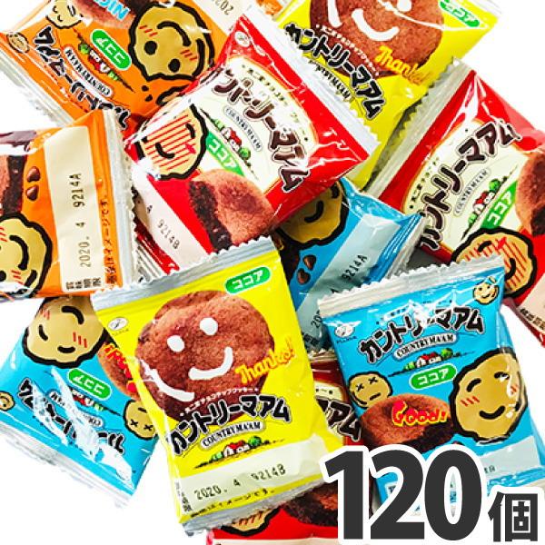 カントリーマアム　ココア　120個　送料無料 不二家 業務用 大量 お菓子 詰め合わせ お試し 訳あ...