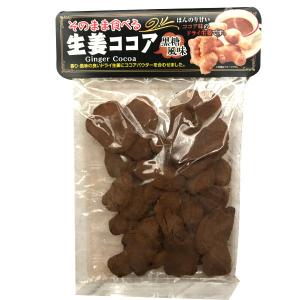 森田製菓 そのまま食べる生姜ココア 1袋 ゆうパケット便 メール便  駄菓子 お菓子 ポイント消化 1000円ポッキリ 森田 お土産 島根 おみやげ