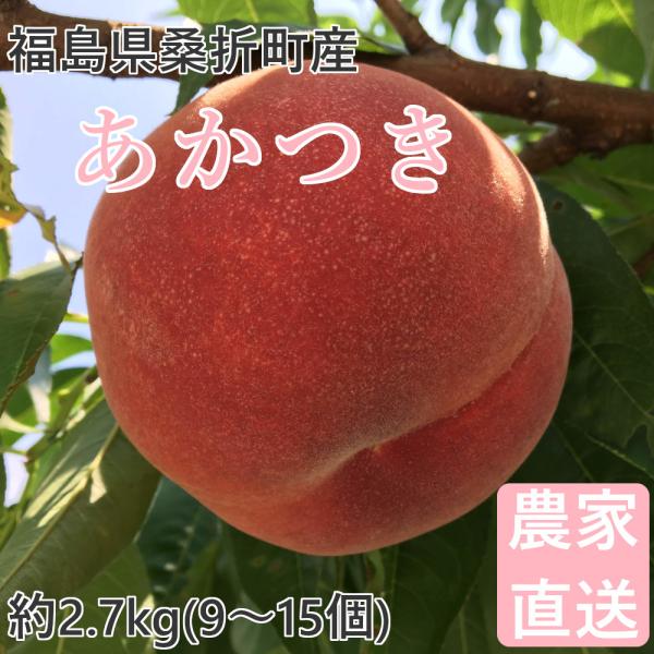 桃 あかつき 2.7kg(9〜15個) 福島桑折町産 通常品 7月下旬-8月上旬お届け 常温配送