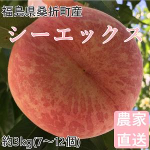 桃 シーエックス 3kg(7〜12個) 福島桑折町産 通常品 9月中旬-9月下旬お届け