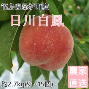 桃 日川白鳳 2.7kg(9〜15個) 福島桑折町産 通常品 7月上旬〜7月中旬お届け 常温配送｜kameokakajuen