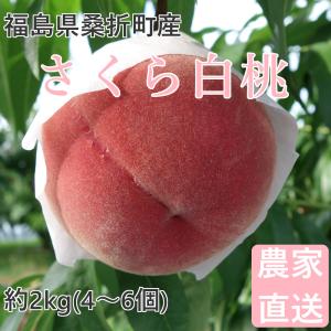 桃 さくら白桃 2kg 福島桑折町産 9月中旬-9月下旬お届け 4〜6個 常温配送