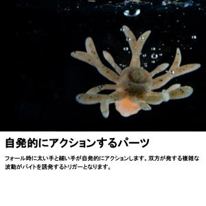 ジャッカル [90] キングジミーヘンジ ミデ...の詳細画像4