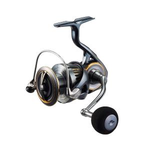 DAIWA（釣り） ダイワ [90]'24 セルテート LT4000-CXH (G1