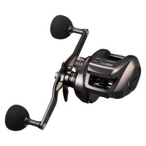 DAIWA（ダイワ） ソルティガIC 100H-DH : つり具の銭屋 - 通販 - Yahoo