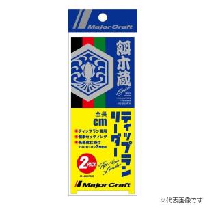 メジャークラフト [90] 餌木蔵ティップランリーダー 80cm EZ-LEADER3/80 (N7)｜kameya-ec1