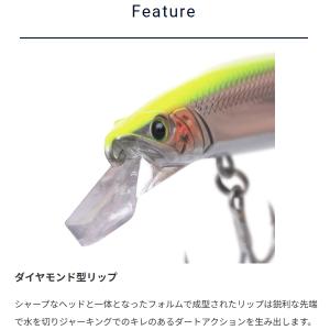 ポイント15倍 在庫限り旧価格 パームス [9...の詳細画像2
