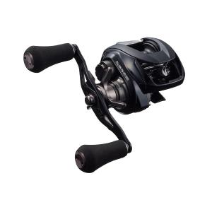 DAIWA（釣り） ダイワ [90] 23 ソルティスト TW 300XH PE