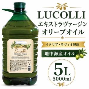 マンチャンティ エクストラ ヴァージン イタリア産オリーブオイル 5L