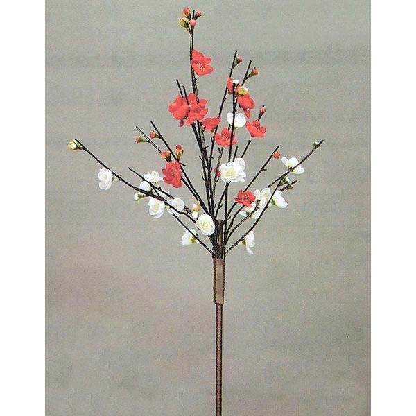 持ち枝 持枝 日本舞踊 日舞 踊り 小道具 舞台 ステージ 持ち枝 紅白梅