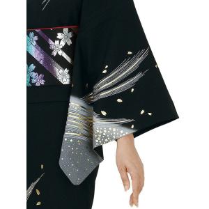 訪問着 着物 反物 女性 男性 踊り 絵羽 訪...の詳細画像2
