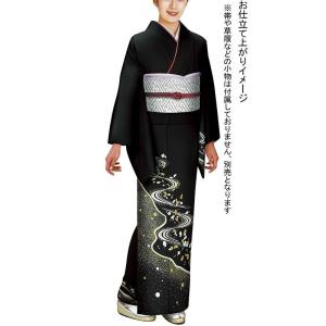 訪問着 着物 反物 女性 男性 踊り 絵羽 黒 螺鈿 棒縞 洗える着物