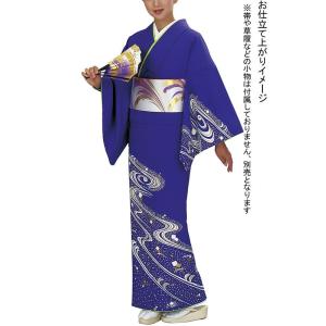 訪問着 着物 反物 女性 男性 踊り 絵羽 黒 螺鈿 棒縞 洗える着物