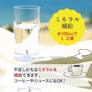 にがりミニボトル詰替えセット(5本)の詳細画像3