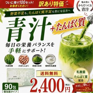 青汁 訳あり 乳酸菌 たんぱく質 90包 大容量...の商品画像