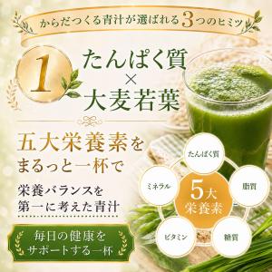 青汁 訳あり 乳酸菌 たんぱく質 90包 大容...の詳細画像4