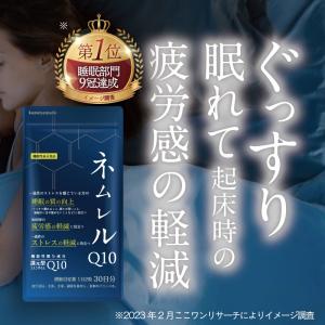 亀山堂 ワイルドマンゴーの力 A エラグ酸 機能性表示食品 30日 亀山堂 ワイルドマンゴーの力 A エラグ酸 機能性表示食品 30日