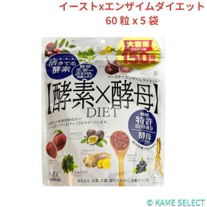 人気の核酸です　お安く続けられます　核酸ヘルシーブレイン2500G 核酸ヘルシーブレイン2500G 核酸 DNA RNA 鮭白子抽出物 酵母 明治製薬