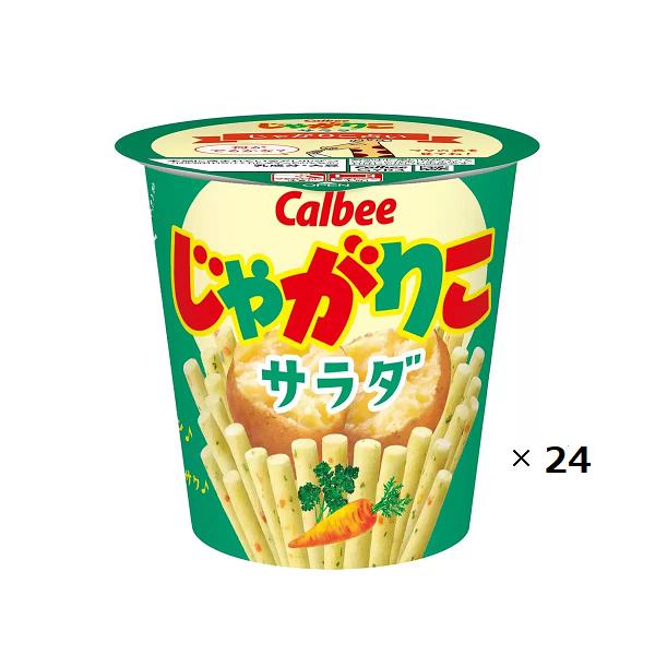 【2箱】カルビー じゃがりこ サラダ味 57g × 12個 × 2箱