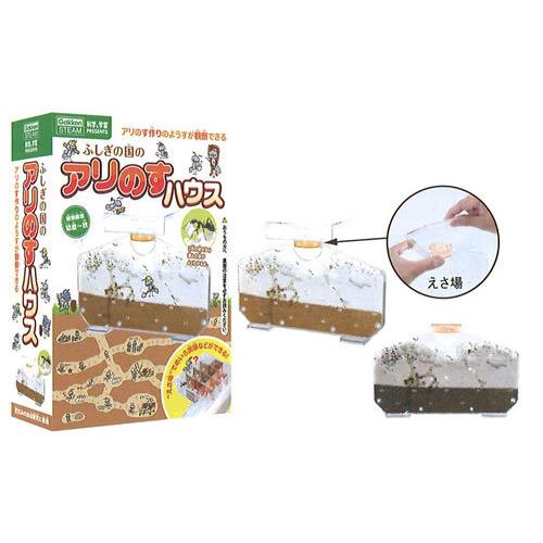 学研　科学と学習 presents（自由研究）蟻の巣生体観察キットふしぎの国のアリのすハウス（J75...