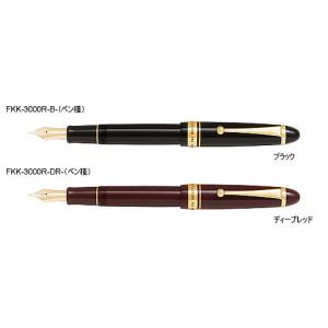 PILOT（パイロット） カスタム74（CUSTOM 74）万年筆その2（ダーク