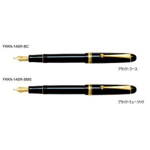 PILOT（パイロット） カスタム74（CUSTOM 74）万年筆その2（ダーク
