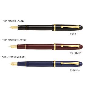 PILOT（パイロット） カスタム742（CUSTOM742）万年筆（FKK-2000R-xx
