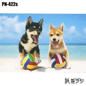 ポストカード犬イヌ シリーズ 全2柄｜kami-mifuji