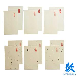 美濃和紙 ポチ袋 2種