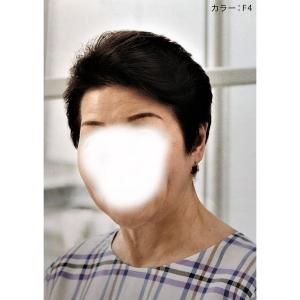 フォンテーヌ ウイッグ マニフィー トップピース BPR921 : 髪美人