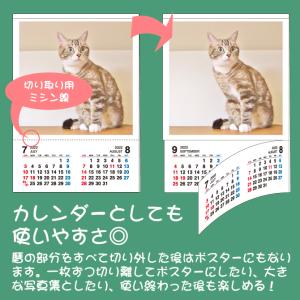 カレンダー オリジナル写真入りカレンダー オー...の詳細画像5