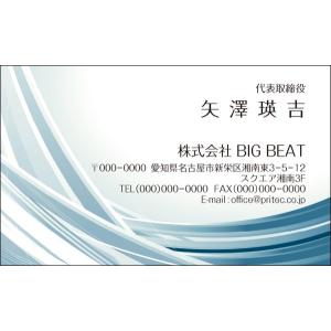 ネコポス  名刺作成 クールデザイン 100枚入[VCO-001]