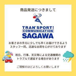 アジュバン リ: プラチナム シャンプー トリ...の詳細画像4