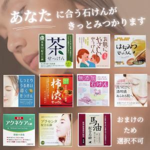 グローバルミルボン リストラティブ シャンプー...の詳細画像1